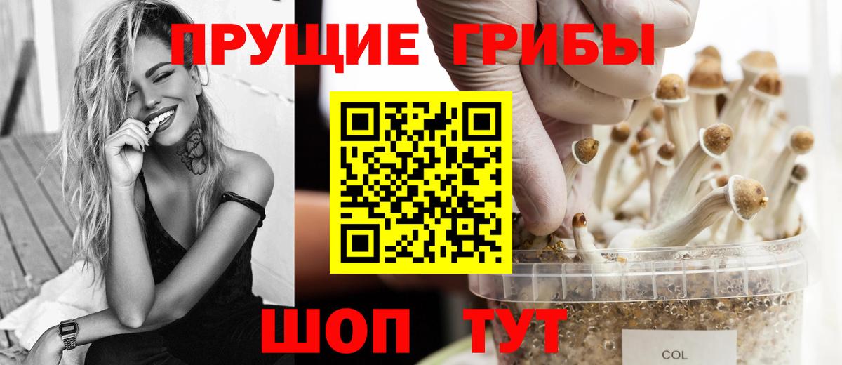 Алапаевск  Галлюциногенные грибы Magic Shrooms  Вход с VPN 