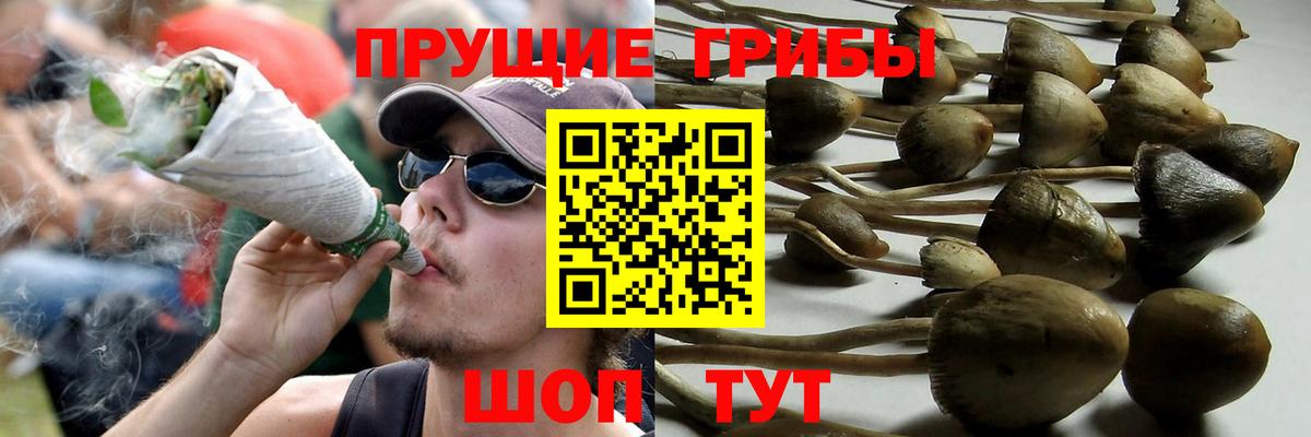 Галлюциногенные грибы GOLDEN TEACHER Алапаевск